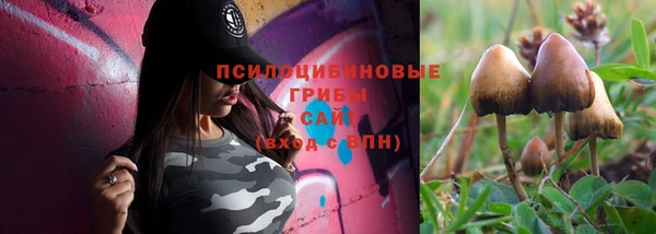 соль ск Беломорск
