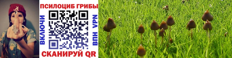 Галлюциногенные грибы MAGIC MUSHROOMS  наркота  Серов 